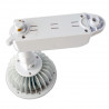 Rail Spotlight - Adjustable, 15W