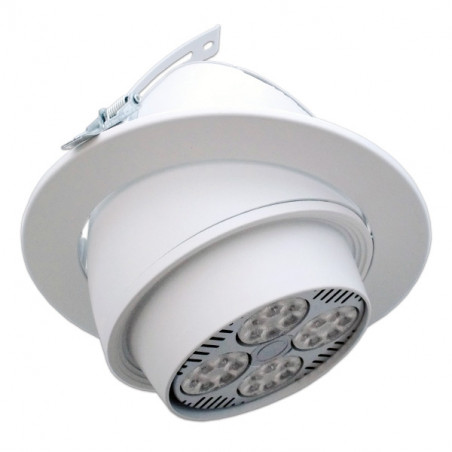 Downlight para empotrar PAR30 Downlight para empotrar PAR30