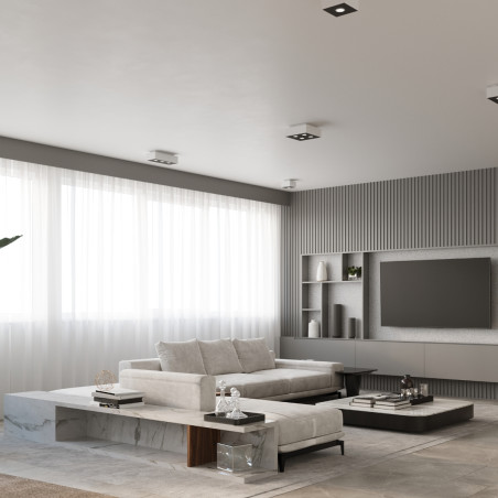 Ceiling lamp MONO 2 white