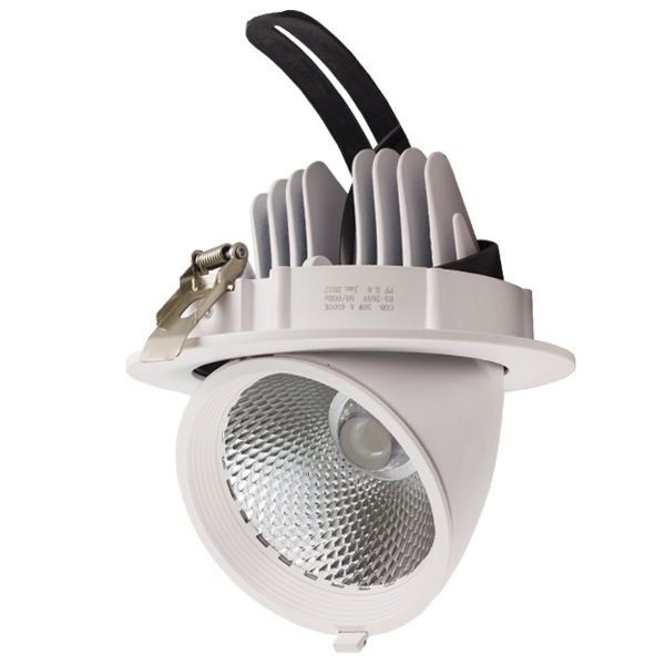 LED Ceiling Spotlight Orientable - 36W, Round