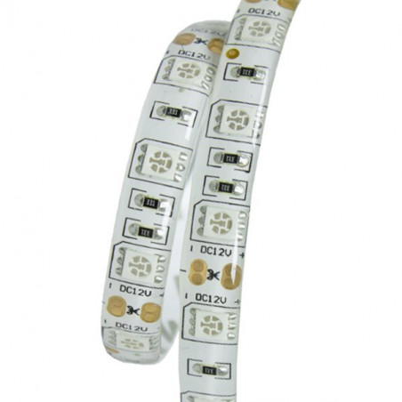Led Strip 5m 12V 14.4W/m IP65-COLORES