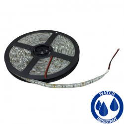 Tira Led 5m 14.4W/m IP65 luz blanca