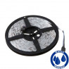 24V LED Strip - Waterproof, IP65, 14.4W/m, RGB